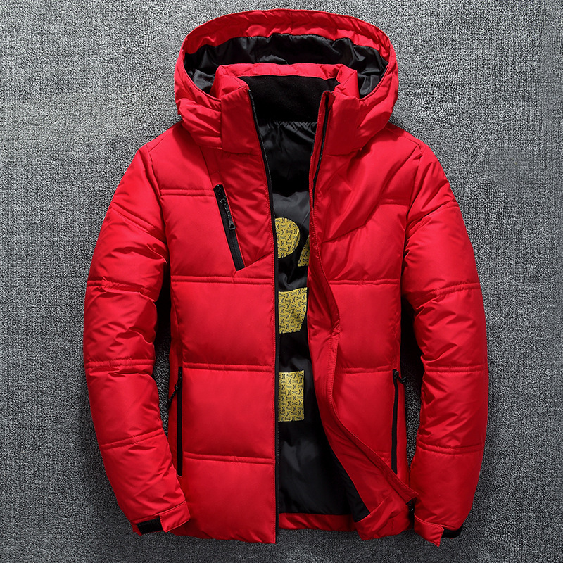 Jaket Pria Hangat Musim Dingin - Down Jacket Packable ulasan dan harga